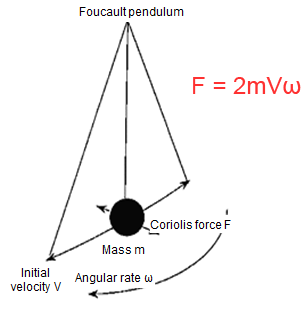 The Coriolis force is perpendicular to the direction of the reciprocating movement of the pendulum, and is maximized at the maximum speed point.