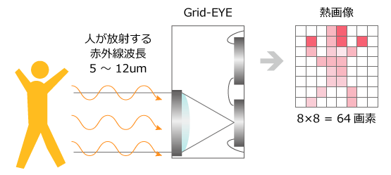 人が放射する赤外線波長を捕らえるイメージ